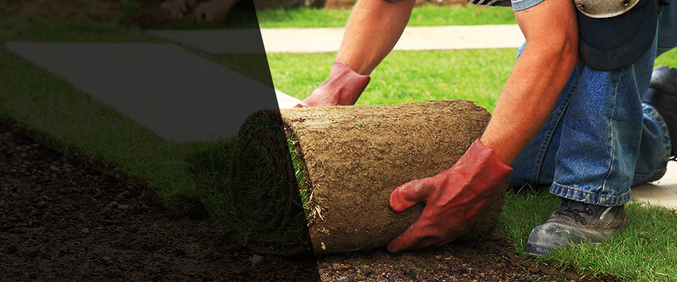 High Ridge Landscapers